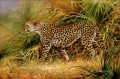 leopard 9